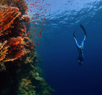 Freediving breathwork south of england